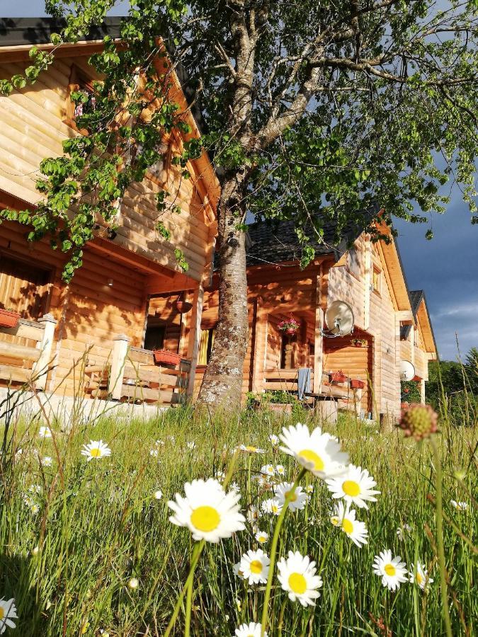 Sunny Hill Cabins Kolasin Ngoại thất bức ảnh